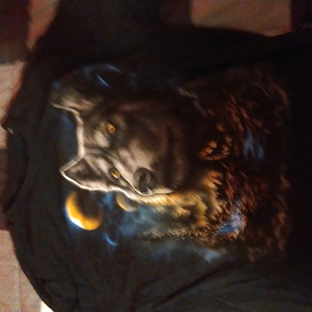 Nice shirt